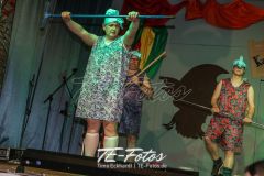 Karneval in Vernawahlshausen 2019