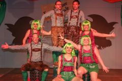 Karneval in Vernawahlshausen 2019