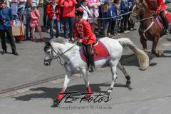 2019-06-08_14-06-17_179-3