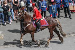 2019-06-08_14-06-19_179-3