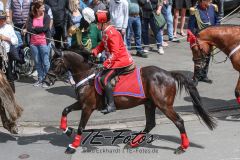 2019-06-08_14-06-20_179-4