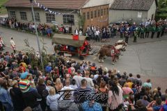 2019-06-08_14-15-05_179-2