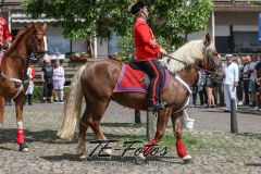 2019-06-08_15-12-56_179-2 2019-06-08_15-12-56_179-2