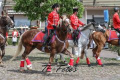 2019-06-08_15-12-59_179-4 2019-06-08_15-12-59_179-4