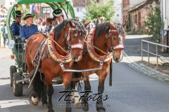 2019-06-08_16-00-14_179 2019-06-08_16-00-14_179