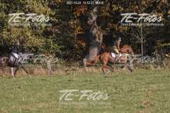 2021-10-24_12-52-33_00426 2021-10-24_12-52-33_00426