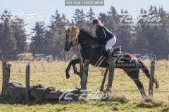 2021-10-24_12-52-55_00530 2021-10-24_12-52-55_00530