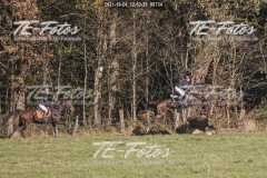 2021-10-24_12-53-35_00734