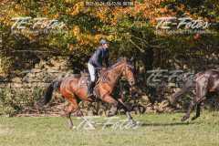 2021-10-24_12-53-56_00789