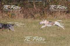 2021-10-24_13-08-54_00975