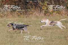 2021-10-24_13-08-55_00977