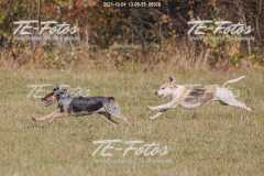 2021-10-24_13-08-55_00978