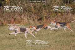 2021-10-24_13-08-57_00985