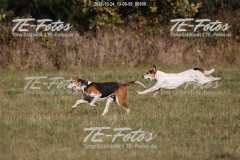 2021-10-24_13-08-58_00999