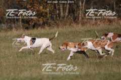 2021-10-24_13-09-03_01010