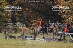 2021-10-24_13-09-57_01248