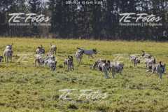 2021-10-24_13-10-18_01280