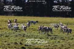 2021-10-24_13-10-18_01282