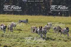 2021-10-24_13-10-18_01287