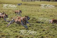 2021-10-24_13-10-21_01310