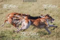 2021-10-24_13-10-23_01332