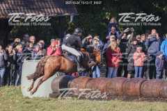 2021-10-24_13-12-17_01837 2021-10-24_13-12-17_01837