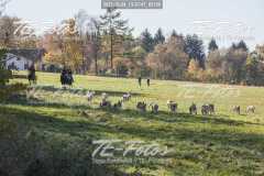 2021-10-24_13-37-47_02150