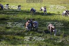 2021-10-24_13-37-50_02172