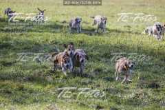 2021-10-24_13-37-50_02174