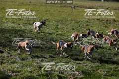 2021-10-24_13-37-51_02179