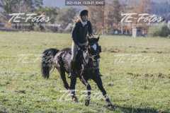 2021-10-24_13-38-25_02402 2021-10-24_13-38-25_02402