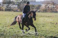 2021-10-24_13-39-13_02611 2021-10-24_13-39-13_02611