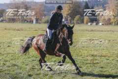 2021-10-24_13-39-13_02622 2021-10-24_13-39-13_02622