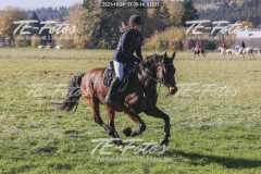 2021-10-24_13-39-14_02631 2021-10-24_13-39-14_02631