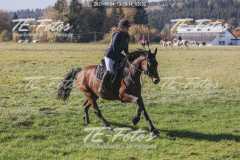 2021-10-24_13-39-14_02632 2021-10-24_13-39-14_02632