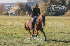 2021-10-24_13-40-11_02782