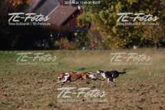 2021-10-24_13-40-30_02857