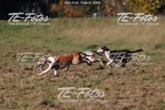 2021-10-24_13-40-30_02858