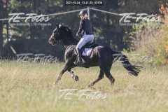 2021-10-24_13-41-59_03154 2021-10-24_13-41-59_03154