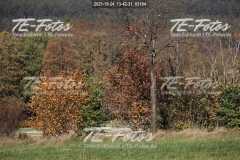 2021-10-24_13-42-31_03194 2021-10-24_13-42-31_03194