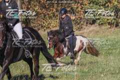 2021-10-24_13-43-05_03237 2021-10-24_13-43-05_03237