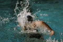 2021-11-06_14-29-51_01794