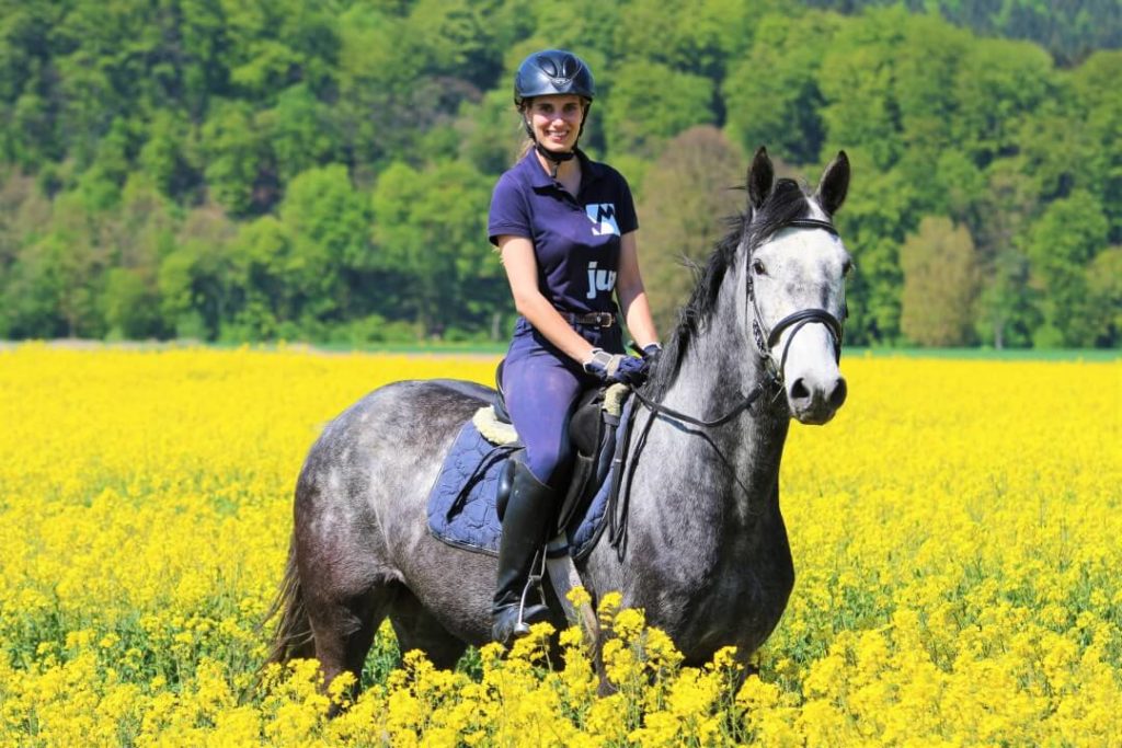 Reitbilder in malerischer Kulisse im Weserbergland