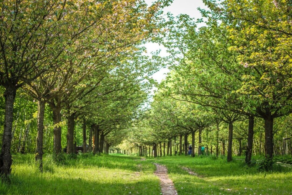 Berliner Mauerweg Lichterfelde – Sehenswürdigkeiten in und um Berlin