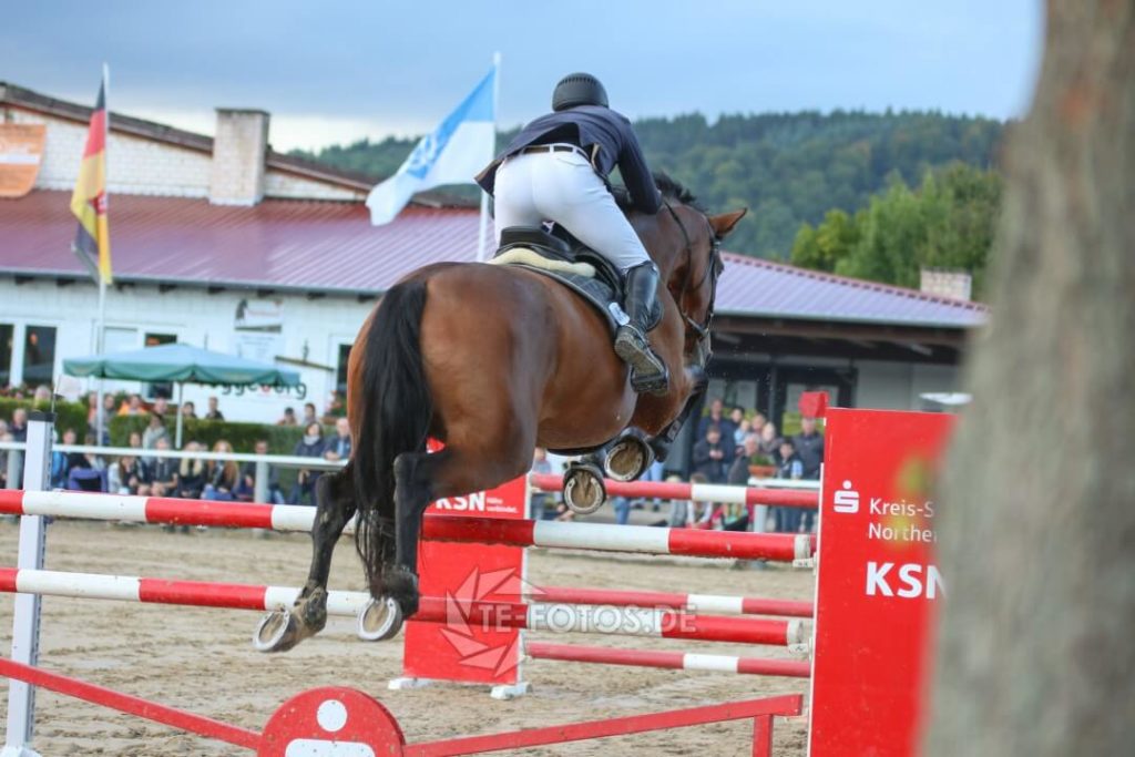 Springprüfung Kl.S* – Reitturnier Bodenfelde