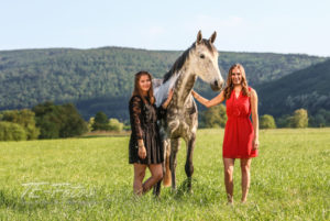 Pferdefotografie - Pferde Shooting im Weserbergland