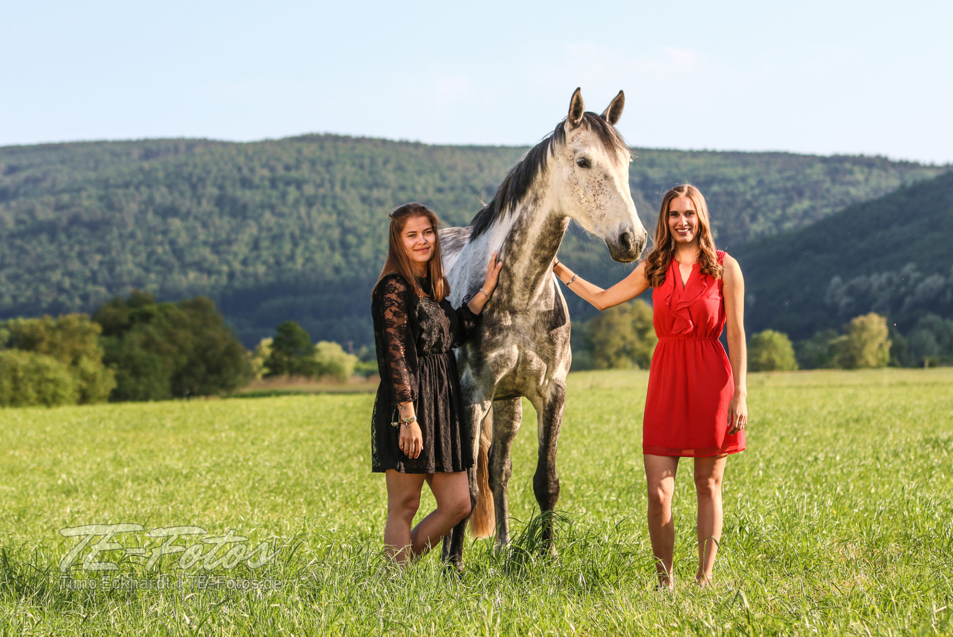 Pferdefotografie - Pferde Shooting im Weserbergland