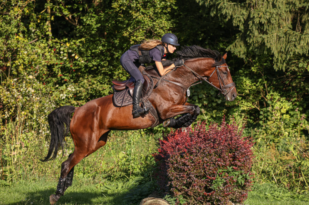 Vielseitigkeitstraining in Harbansen