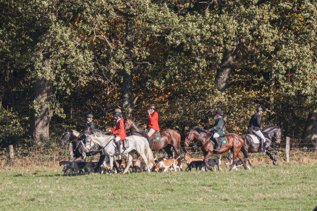 traditionelle Hubertus Jagd 2021 in Neuhaus
